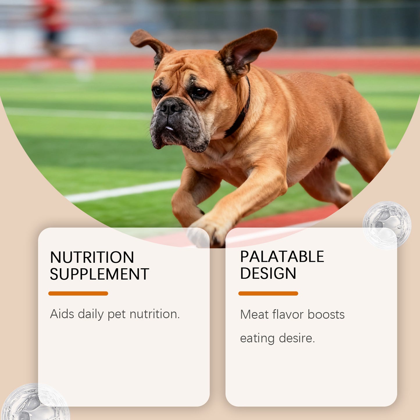 Dog Turmeric Supplement Soft Granules